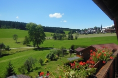 Blick vom Balkon ins Dorf Waldau